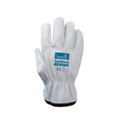Leather Gloves