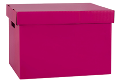 Marbig Archive Box Berry