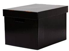 Marbig Archive Box Black