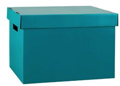 Marbig Archive Box Teal